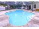Backyard features a screened in kidney-shaped pool with steps, perfect for outdoor fun at 7609 Barry Rd, Tampa, FL 33615