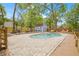 Inviting kidney-shaped pool with a spa surrounded by a paver deck and lush landscaping at 7708 N Arden Ave, Tampa, FL 33604