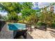 Secluded pool with brick pavers and mature landscaping provides a private backyard oasis at 10609 Orange Grove Dr, Tampa, FL 33618