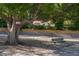Beach volleyball court under a shady tree with a wooden fence and a green bench at 10609 Orange Grove Dr, Tampa, FL 33618