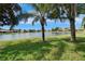 Expansive backyard featuring a scenic lake view, lush green lawn, and beautiful mature palm trees at 16261 Amethyst Key Dr, Wimauma, FL 33598