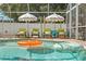 Inviting screened-in pool area with lounge chairs and umbrellas for relaxing and enjoying the outdoors at 1698 Eden Ct, Clearwater, FL 33756