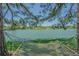 Backyard featuring mature trees and a hammock overlooking the canal at 2051 Lyra Dr, Holiday, FL 34690