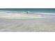 Scenic beach featuring a pelican and seagulls wading in the shallow water by the sandy shore at 3210 Gulf Blvd # 108, Belleair Beach, FL 33786