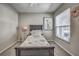 Neutral bedroom with patterned bedding, stylish décor, and a ceiling fan at 3225 Bea Ct, Land O Lakes, FL 34639