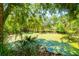 Overgrown pond surrounded by mature trees and other vegetation on the property at 3226 Palmetto Rd, Wimauma, FL 33598