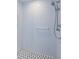 Clean white tiled shower with grab bar and black and white tiled floor at 36750 Us 19 N # 5-111, Palm Harbor, FL 34684