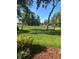 Scenic view of the lush green golf course, framed by mature trees and a clear blue sky at 36750 Us 19 N # 5-111, Palm Harbor, FL 34684