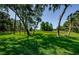 Expansive green golf course with mature trees casting shadows on the well-maintained grass at 36750 Us 19 N # 5-111, Palm Harbor, FL 34684
