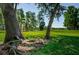 Scenic view of a golf course with lush greenery, mature trees, and a well-maintained landscape at 36750 Us 19 N # 5-111, Palm Harbor, FL 34684