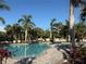 Community pool with mature palms, lush landscaping, and plenty of lounge chairs at 4053 Rocky Shores Dr, Tampa, FL 33634
