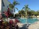 Community pool area with lounge chairs, mature palm trees and tropical plantings at 4053 Rocky Shores Dr, Tampa, FL 33634