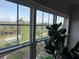 Scenic view from a window overlooking lush tropical landscaping and a private community at 4053 Rocky Shores Dr, Tampa, FL 33634