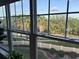 Scenic view from a window overlooking lush tropical landscaping and a private community at 4053 Rocky Shores Dr, Tampa, FL 33634