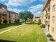 Apartment backyard with tree and walkways at 5820 N Church Ave # 212, Tampa, FL 33614