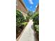 Charming walkway between homes, bordered by lush greenery and leading to a shared community space at 7530 Red Mill Cir, New Port Richey, FL 34653