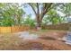 Spacious backyard is fully fenced, offering shade from mature trees at 8008 N Alaska St, Tampa, FL 33604