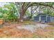 Home exterior showing a yard and large trees at 8008 N Alaska St, Tampa, FL 33604