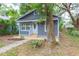 Grey bungalow-style home with a new landscape, featuring a large tree on the right at 8008 N Alaska St, Tampa, FL 33604
