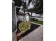 Home's exterior with a beautifully landscaped yard, palm trees, and stone accents at 824 Greenbelt Cir, Brandon, FL 33510