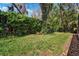 Lush backyard with green grass and mature trees, providing a private and serene outdoor space at 15930 Sorawater Dr, Lithia, FL 33547