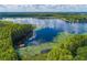 Stunning aerial view of a lake surrounded by lush green trees and blue skies at 1746 Heron Cove Dr # 1746, Lutz, FL 33549