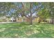 Expansive front yard features a mature shade tree offering curb appeal to the cozy home at 3214 W Rogers Ave, Tampa, FL 33611