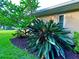 Beautiful landscaping with well-manicured lawn and tropical plants along the side of the home at 3240 Sand Key Dr, Palm Harbor, FL 34684