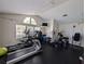 Community gym with modern exercise equipment, weights, and natural lighting at 3305 Haviland Ct # 301, Palm Harbor, FL 34684