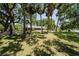Spacious front yard dotted with mature trees, complemented by a well-maintained lawn and brick entrance features at 4315 W Azeele St, Tampa, FL 33609