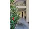 Condo entrance featuring neutral tones and tropical landscaping at 502 Hammock Pine Blvd # 502, Clearwater, FL 33761