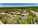 Expansive aerial view showing the property's location within a community surrounded by mature trees and greenery at 5316 Candler View Dr, Lithia, FL 33547