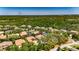 Wide aerial view showing homes within a verdant community nestled among mature trees and natural beauty at 5316 Candler View Dr, Lithia, FL 33547