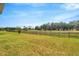 Large back yard with mature trees in background at 6398 Bradford Woods Drive, Zephyrhills, FL 33542