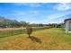 Expansive backyard featuring a black metal fence and views of mature trees in the distance at 6398 Bradford Woods Drive, Zephyrhills, FL 33542