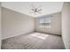Bright bedroom with a ceiling fan, neutral paint and plush carpet at 6398 Bradford Woods Drive, Zephyrhills, FL 33542
