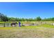 Expansive horse paddock featuring lush greenery and ample space for equestrian activities and well-maintained perimeter fencing at 809 Butch Cassidy Trl, Wimauma, FL 33598