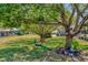 A scenic backyard features lush grass, mature trees, and a few decorative peacocks at 8206 Leafy Ct, Port Richey, FL 34668