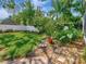 Lush backyard featuring a well-maintained lawn, tropical foliage, and a serene garden path at 8326 40Th N Pl, St Petersburg, FL 33709