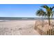 Serene view of the beach featuring a pristine shoreline, gentle waves, and a lush palm tree at 8403 W Gulf Blvd, Treasure Island, FL 33706