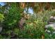 Lush front yard with vibrant flowers, mature trees, and charming landscaping at 8403 W Gulf Blvd, Treasure Island, FL 33706