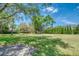 Large green grass lot surrounded by mature landscaping, hedges and trees at 898 Cypress Lakeview Ct, Tarpon Springs, FL 34688