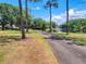 Beautiful view of a tree-lined driveway and large yard near the lake at 898 Cypress Lakeview Ct, Tarpon Springs, FL 34688