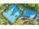 Aerial view of the community tennis courts featuring two well-maintained courts surrounded by lush greenery at 9908 Spice Bush Ct, Tampa, FL 33647