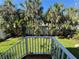 Green, lush backyard with mature tropical palm trees at 16204 3Rd E St, Redington Beach, FL 33708