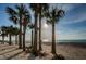 Scenic beach vista featuring palm trees, soft sand, and tranquil blue waters, perfect for relaxing strolls and sunbathing at 1660 Gulf Blvd # Ph-7, Clearwater Beach, FL 33767