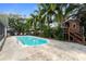 Backyard features a swimming pool, tropical landscaping, and outdoor seating at 1686 Spottswood Cir, Palm Harbor, FL 34683