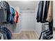 Spacious walk-in closet with shelving and carpeted floor at 1686 Spottswood Cir, Palm Harbor, FL 34683