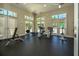 Community gym with various exercise machines, mirrored walls, ceiling fan, and ample natural light from the windows at 18002 Forest Retreat Ln, Tampa, FL 33647