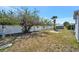 This is a spacious grassy backyard with a tall privacy fence for seclusion at 264 S Port Royal Ln, Apollo Beach, FL 33572